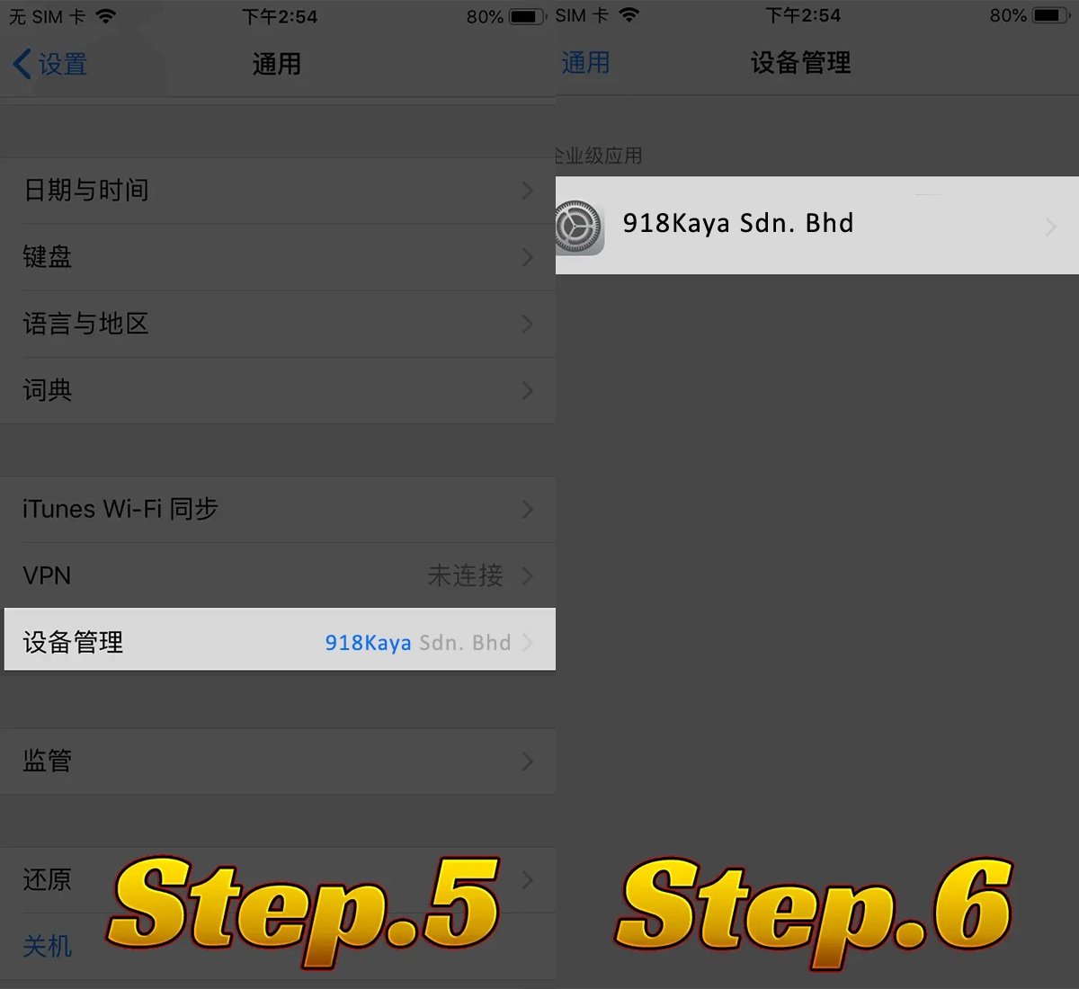 iOS installation step 5 and step 6